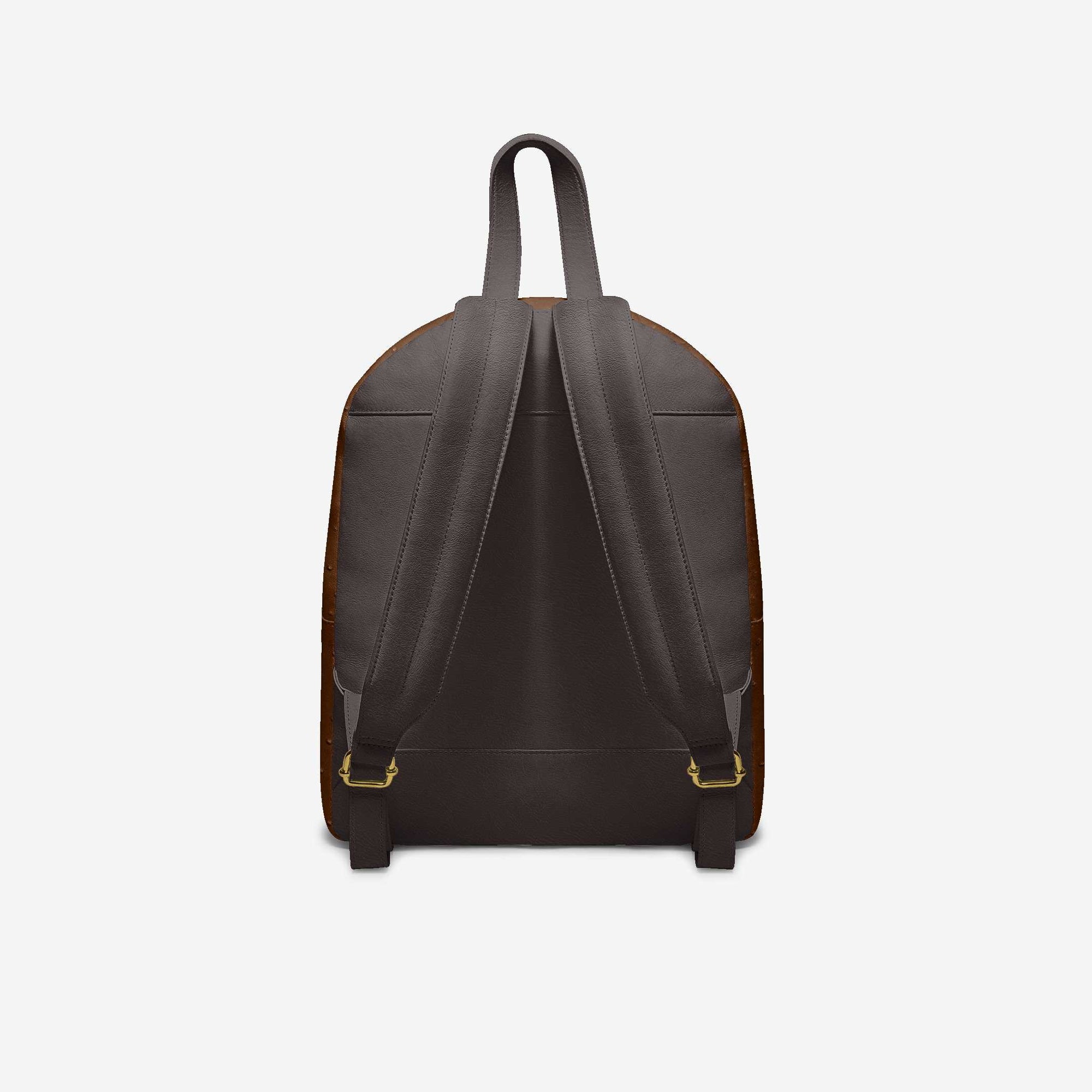 Minimal Luxe Backpack Brown & Gold