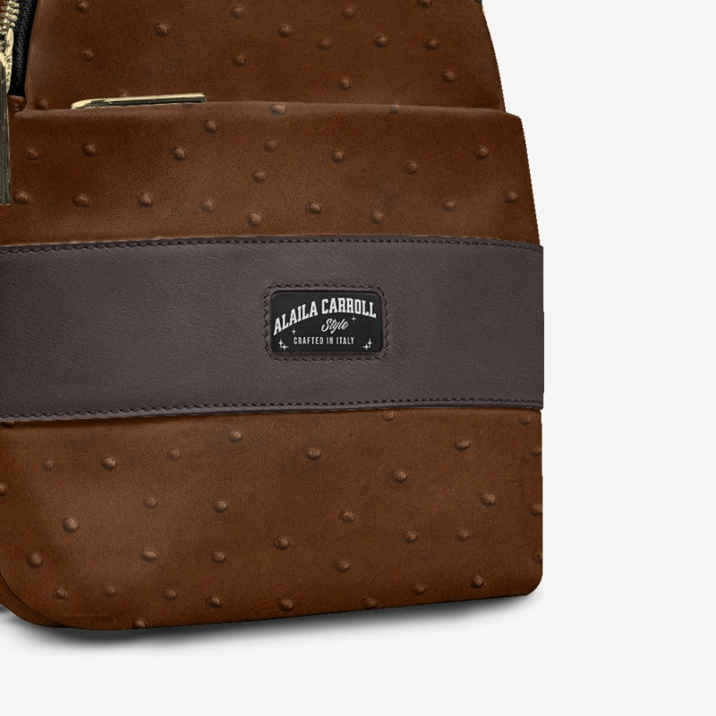 ELEGANT CROSSBODY DESIGNER LUXE BAG BROWN