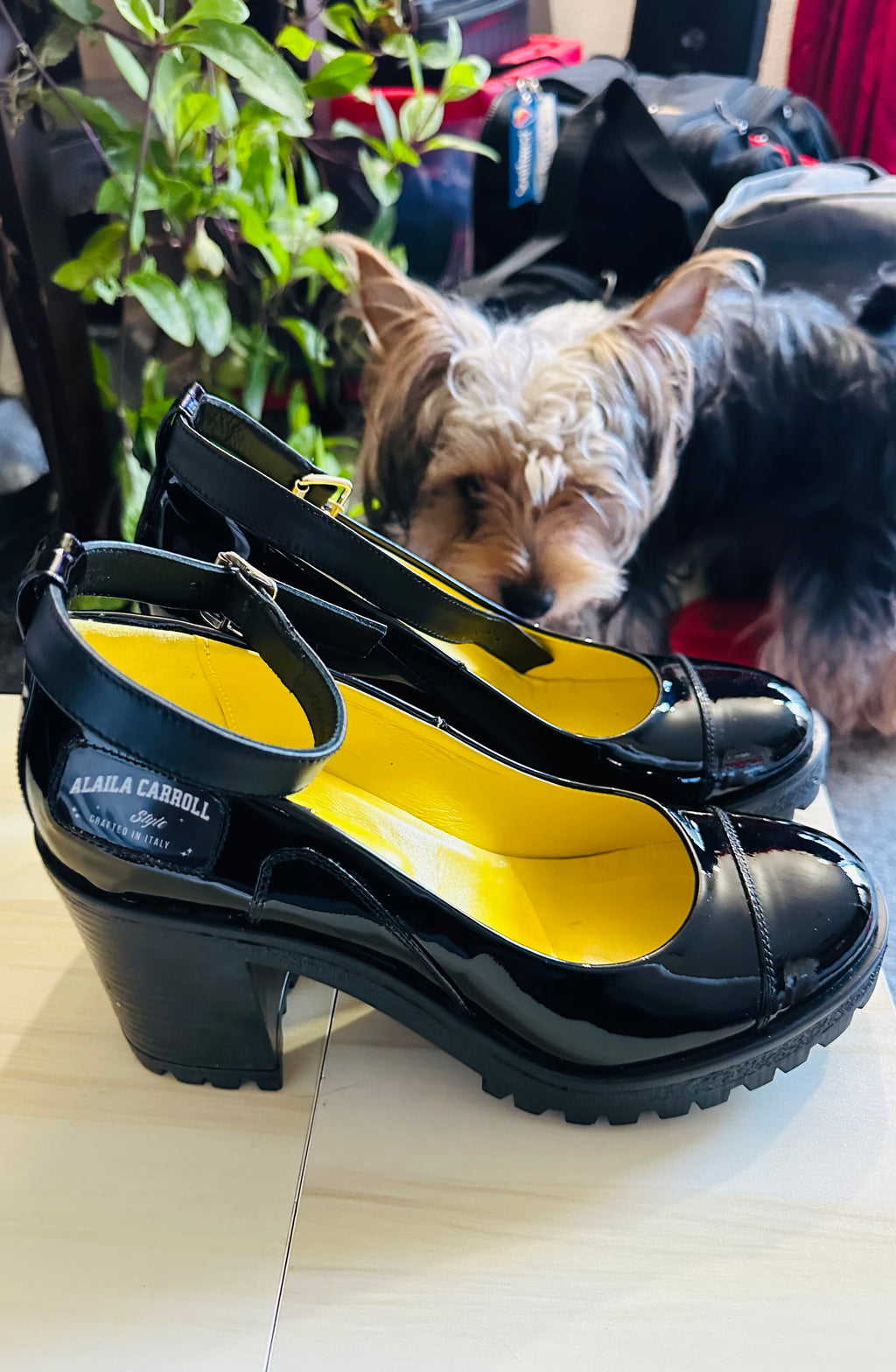 Ankle Strap Heel – Always Shining Varnish Black