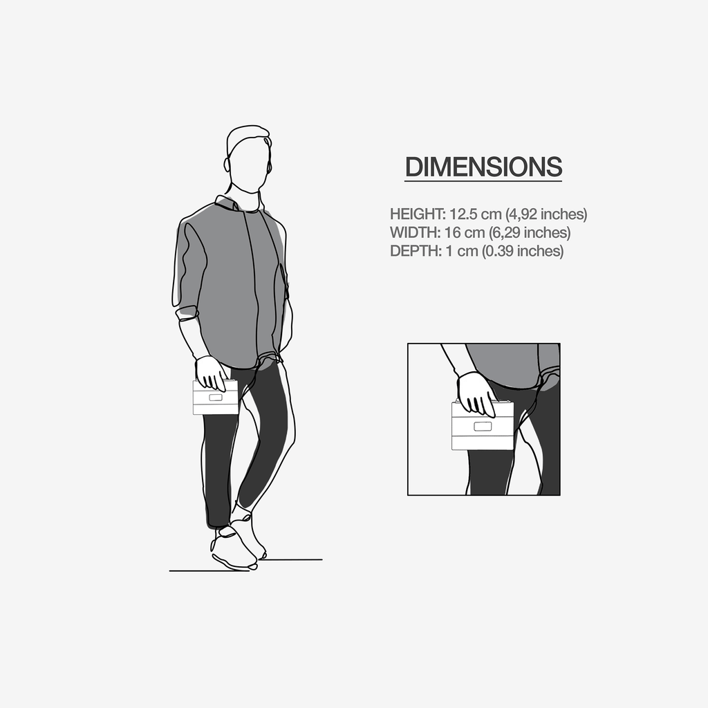 Stripe Zip Designer Luxe Purse – Serpentine Suede & Black Python